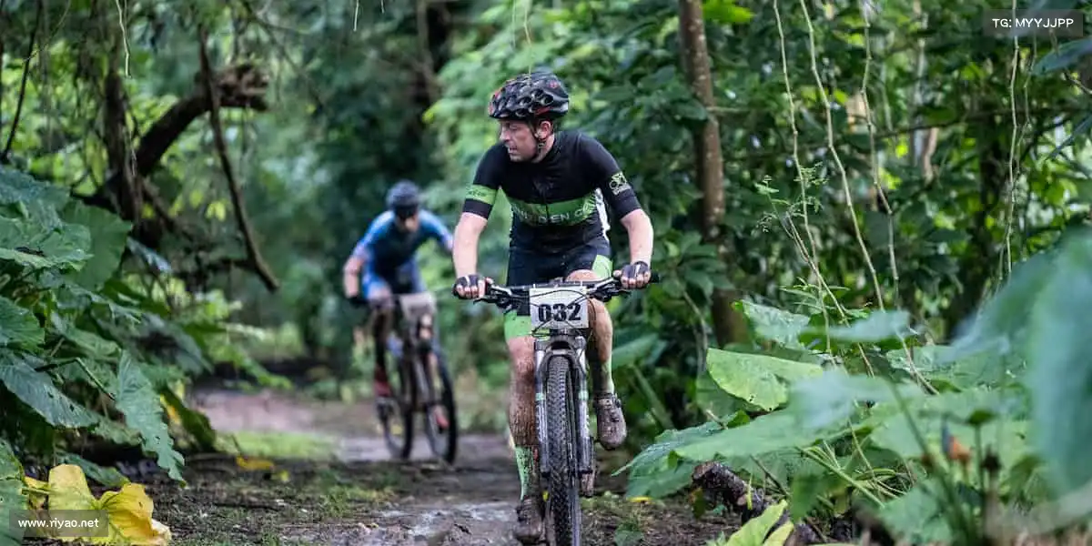 行业领先的理由